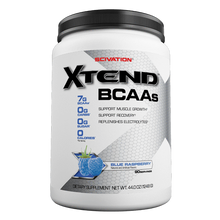 Load image into Gallery viewer, Shop 90SERV SCIVATION XTEND BCAA Online | Whey King Supplements Philippines | Where To Buy 90SERV SCIVATION XTEND BCAA Online Philippines