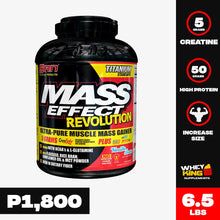 Load image into Gallery viewer, Shop 6.5LBS SAN MASS EFFECT Online | Whey King Supplements Philippines | Where To Buy 6.5LBS SAN MASS EFFECT Online Philippines