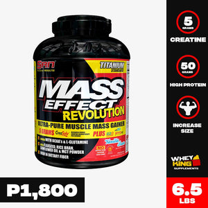 Shop 6.5LBS SAN MASS EFFECT Online | Whey King Supplements Philippines | Where To Buy 6.5LBS SAN MASS EFFECT Online Philippines